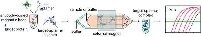 Detection of Proteins in Serum via Micromagnetic Aptamer PCR (MAP) Technology