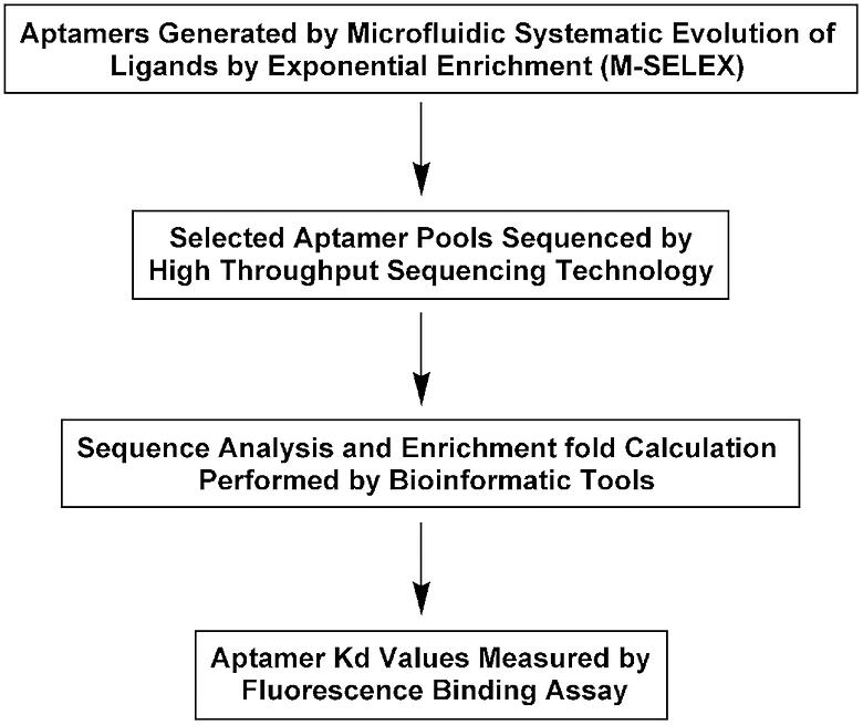 Quantitative Selection of DNA Aptamers through Microfluidic Selection and High Throughput Sequencing