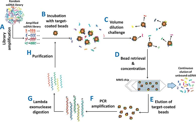 Improving Aptamer Selection Efficiency through Volume Dilution, Concentration, and Continuous Washing in Microfluidic Channels