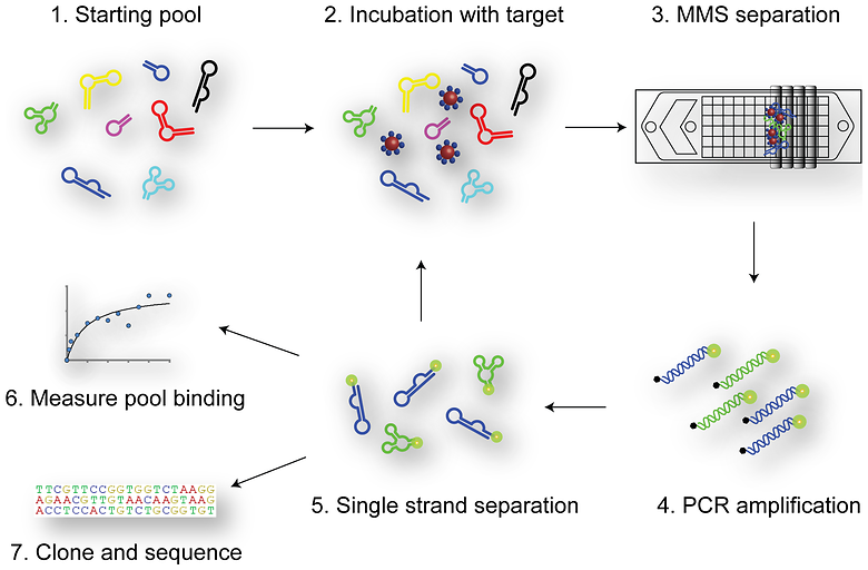Probing the Limits of Aptamer Affinity with a Microfluidic SELEX Platform