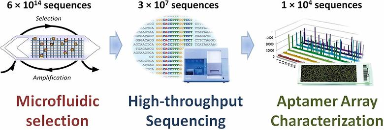 Quantitative Selection and Parallel Characterization of Aptamers