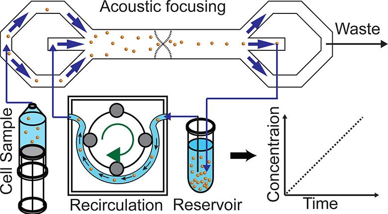 Thousand-fold Volumetric Concentration of Live Cells with a Recirculating Acoustofluidic Device