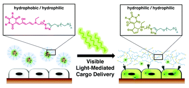 Controlled Drug Release to Cancer Cells from Modular One-photon Visible Light-responsive Micellar System