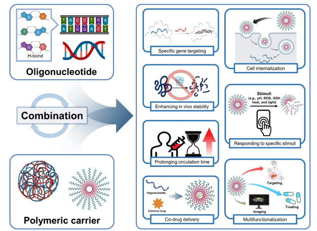 Systematic combination of oligonucleotides and synthetic polymers for advanced therapeutic applications
